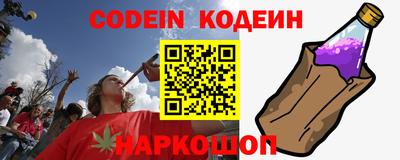 дмт Шелехов