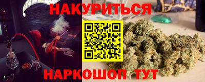 дмт Шелехов