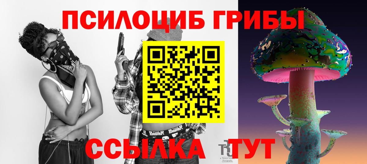Псилоцибиновые грибы GOLDEN TEACHER  Вход с VPN  Аша  Псилоцибиновые грибы прущие грибы 