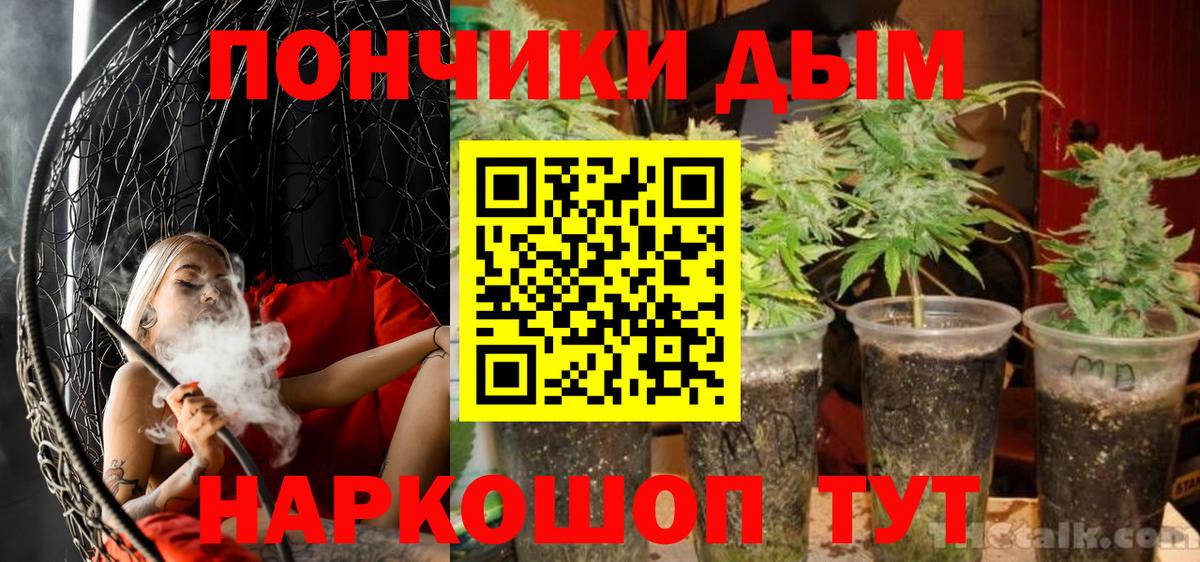 Шишки марихуана Amnesia Аша